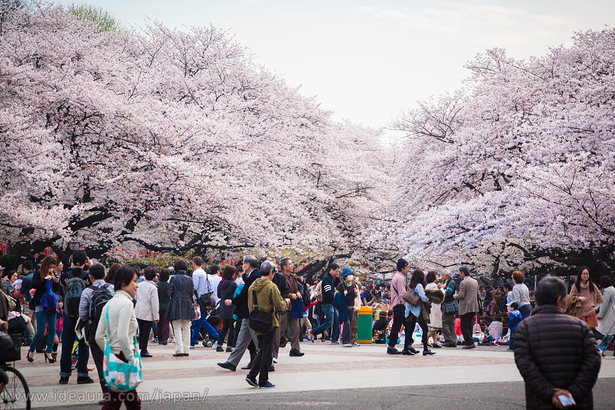 Sluts in Ueno-ebisumachi, Japan