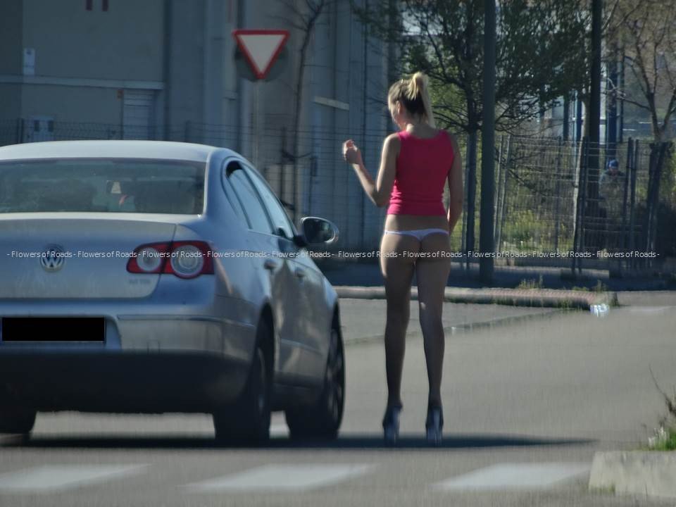 Telephones of Sluts in Gorzow Wielkopolski, Poland