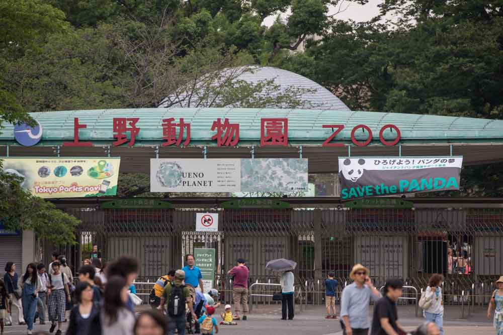 Sluts in Ueno-ebisumachi, Japan