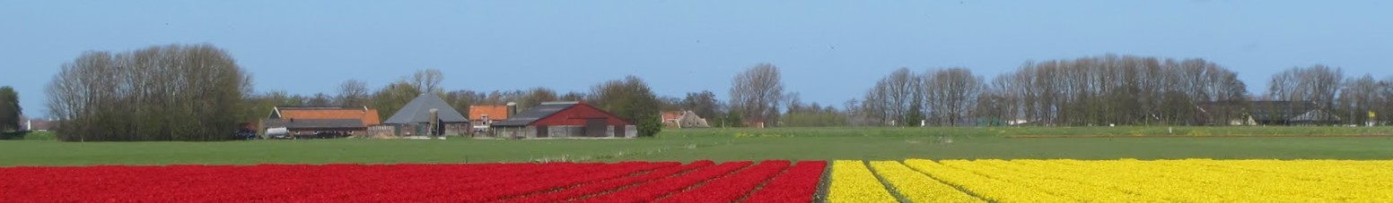 Prostitutes  North Holland