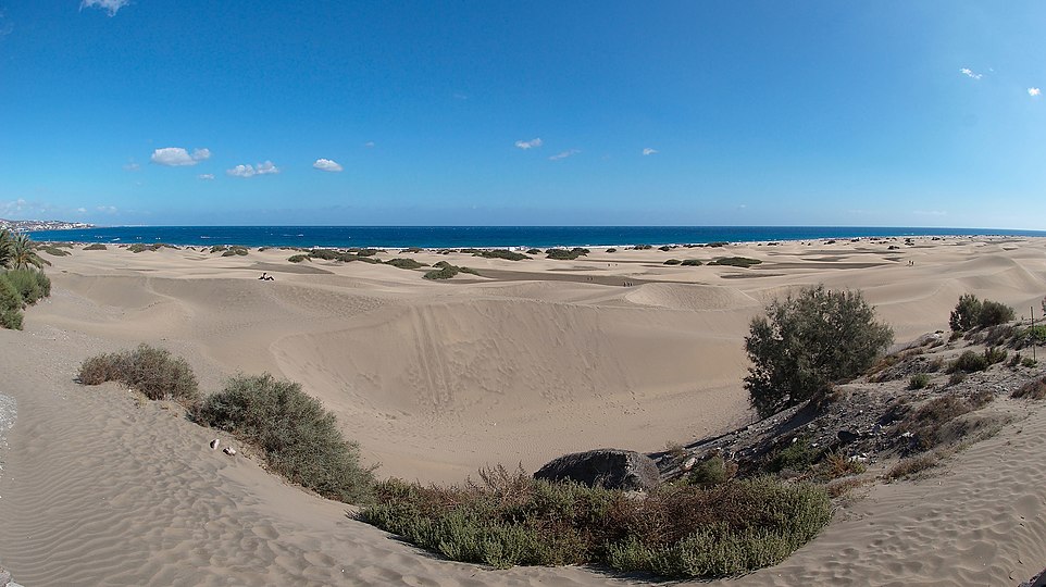 Escort  Maspalomas